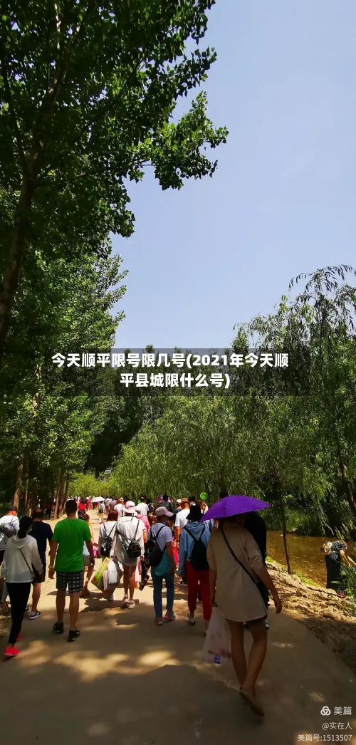 今天顺平限号限几号(2021年今天顺平县城限什么号)