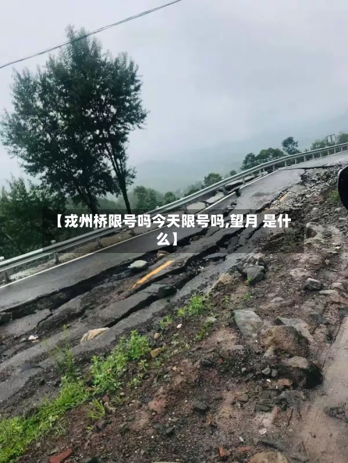 【戎州桥限号吗今天限号吗,望月 是什么】