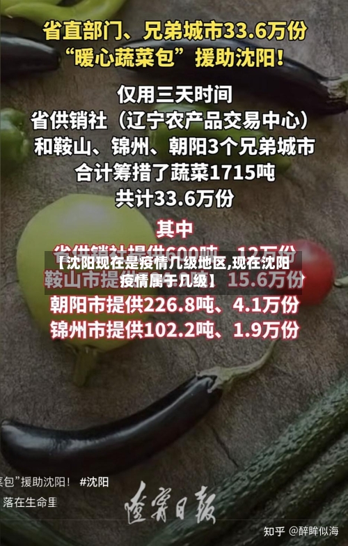 【沈阳现在是疫情几级地区,现在沈阳疫情属于几级】