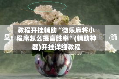 教程开挂辅助“微乐麻将小程序怎么提高胜率”(辅助神器)开挂详细教程