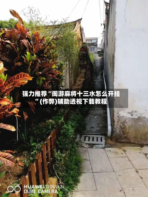 强力推荐“闽游麻将十三水怎么开挂”(作弊)辅助透视下载教程