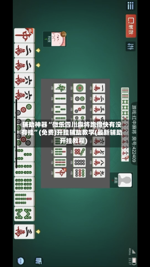 辅助神器“微乐四川麻将跑得快有没有挂”(免费)开挂辅助教学(最新辅助开挂教程)