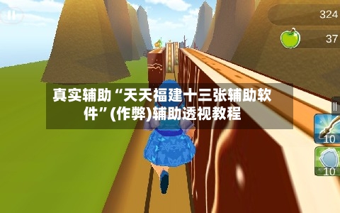 真实辅助“天天福建十三张辅助软件”(作弊)辅助透视教程