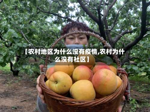 【农村地区为什么没有疫情,农村为什么没有社区】