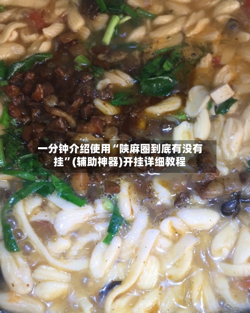一分钟介绍使用“陕麻圈到底有没有挂”(辅助神器)开挂详细教程