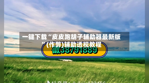 一键下载“皮皮跑胡子辅助器最新版”(作弊)辅助透视教程