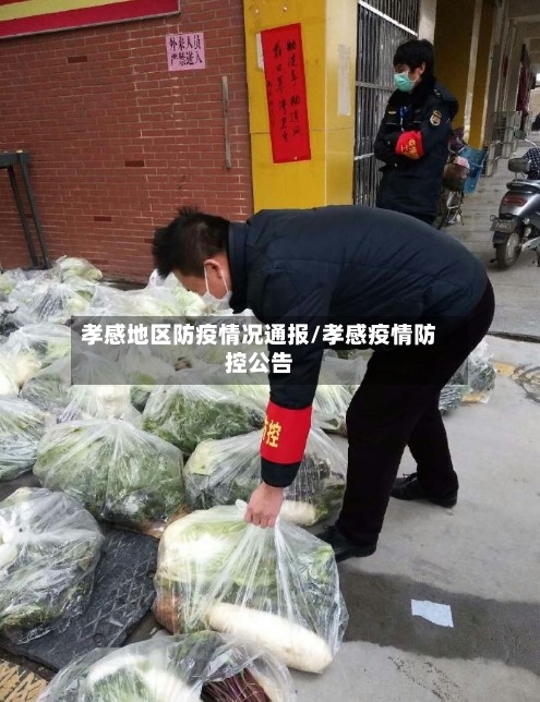 孝感地区防疫情况通报/孝感疫情防控公告