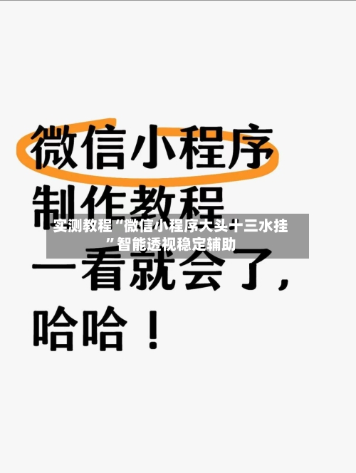 实测教程“微信小程序大头十三水挂”智能透视稳定辅助