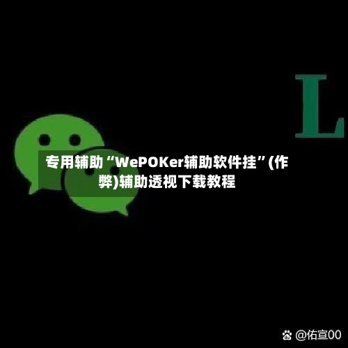 专用辅助“WePOKer辅助软件挂”(作弊)辅助透视下载教程