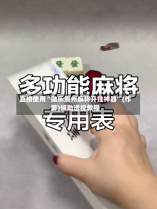 直接使用“微乐贵州麻将开挂神器”(作弊)辅助透视教程