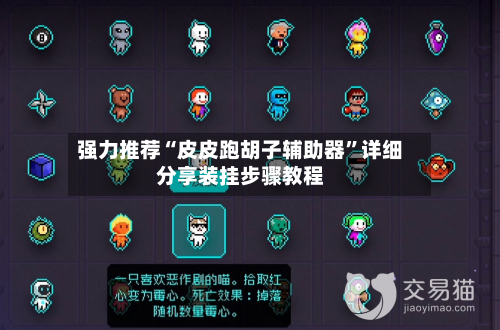 强力推荐“皮皮跑胡子辅助器”详细分享装挂步骤教程