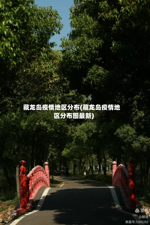 藏龙岛疫情地区分布(藏龙岛疫情地区分布图最新)