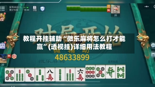 教程开挂辅助“微乐麻将怎么打才能赢”(透视挂)详细用法教程