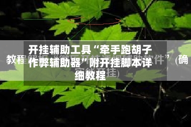 开挂辅助工具“牵手跑胡子作弊辅助器”附开挂脚本详细教程