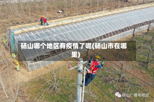 砀山哪个地区有疫情了呢(砀山市在哪里)
