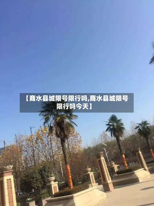 【商水县城限号限行吗,商水县城限号限行吗今天】