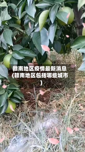 赣南地区疫情最新消息(赣南地区包括哪些城市)