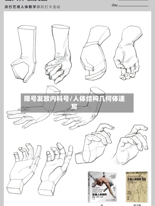 限号发放内科号/人体结构几何体速写