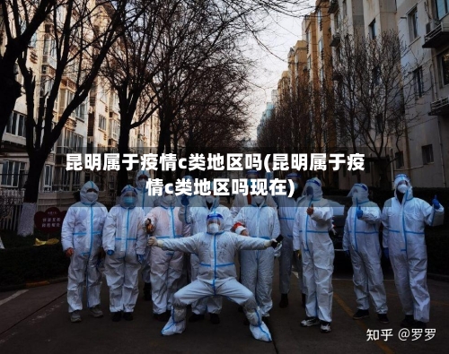 昆明属于疫情c类地区吗(昆明属于疫情c类地区吗现在)