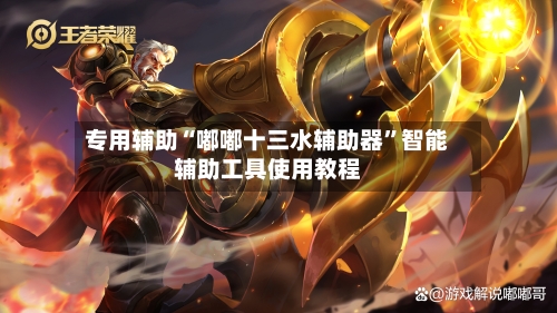专用辅助“嘟嘟十三水辅助器”智能辅助工具使用教程