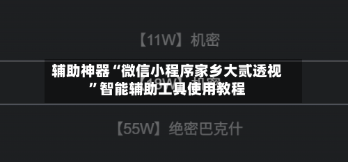 辅助神器“微信小程序家乡大贰透视”智能辅助工具使用教程