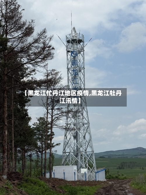 【黑龙江忙丹江地区疫情,黑龙江牡丹江汛情】