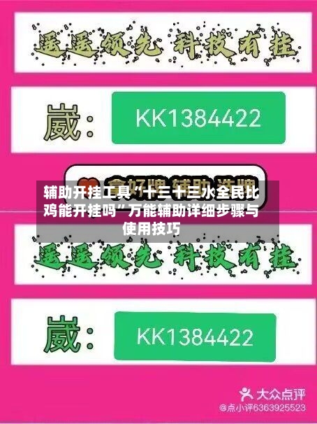 辅助开挂工具“十三十三水全民比鸡能开挂吗”万能辅助详细步骤与使用技巧