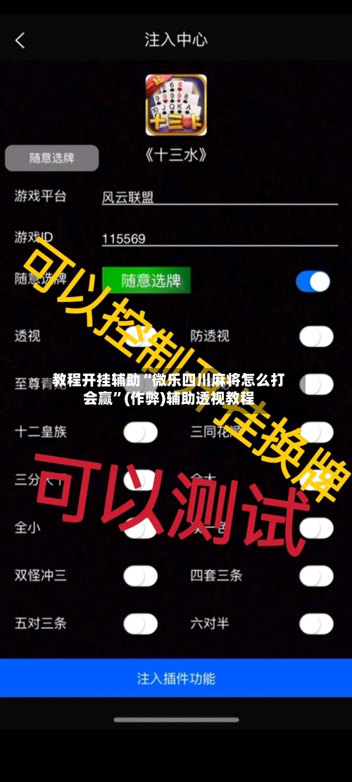 教程开挂辅助“微乐四川麻将怎么打会赢”(作弊)辅助透视教程