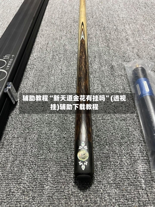 辅助教程“新天道金花有挂吗”(透视挂)辅助下载教程