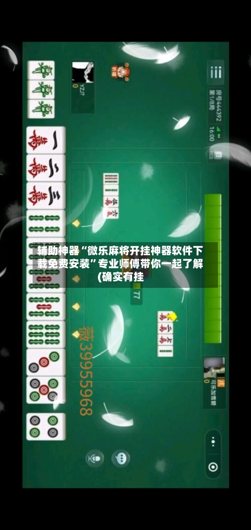 辅助神器“微乐麻将开挂神器软件下载免费安装”专业师傅带你一起了解(确实有挂