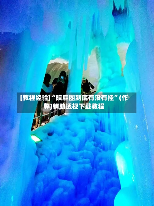 [教程经验]“陕麻圈到底有没有挂”(作弊)辅助透视下载教程
