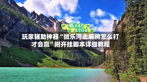 玩家辅助神器“微乐河北麻将怎么打才会赢”附开挂脚本详细教程