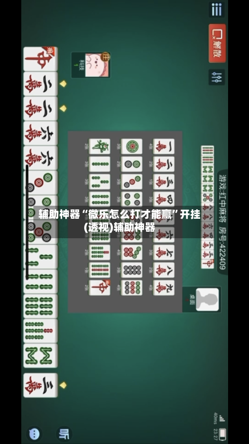 辅助神器“微乐怎么打才能赢”开挂(透视)辅助神器