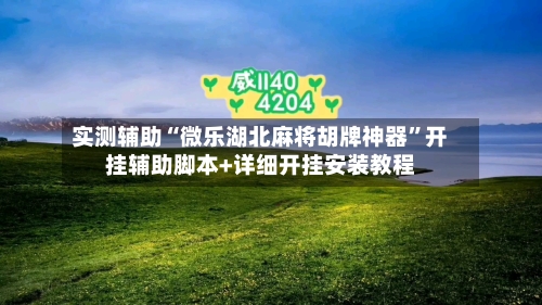 实测辅助“微乐湖北麻将胡牌神器”开挂辅助脚本+详细开挂安装教程