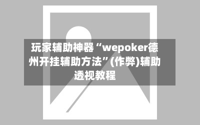 玩家辅助神器“wepoker德州开挂辅助方法”(作弊)辅助透视教程