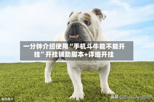 一分钟介绍使用“手机斗牛能不能开挂”开挂辅助脚本+详细开挂