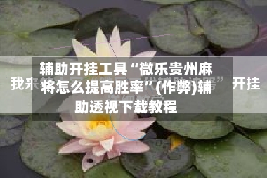 辅助开挂工具“微乐贵州麻将怎么提高胜率”(作弊)辅助透视下载教程