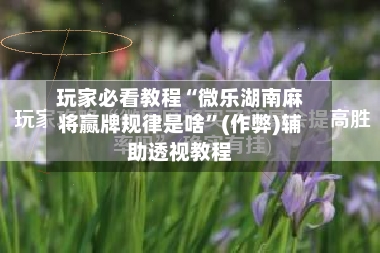 玩家必看教程“微乐湖南麻将赢牌规律是啥”(作弊)辅助透视教程