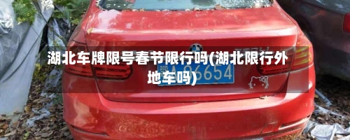 湖北车牌限号春节限行吗(湖北限行外地车吗)