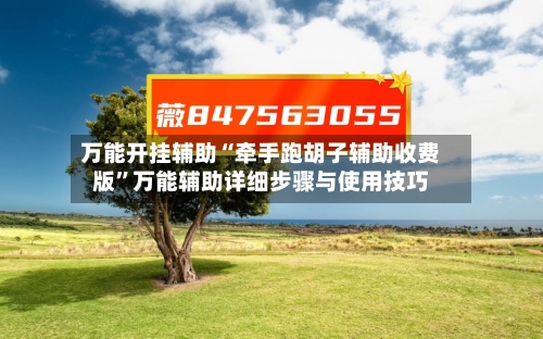 万能开挂辅助“牵手跑胡子辅助收费版”万能辅助详细步骤与使用技巧