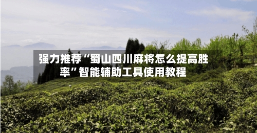 强力推荐“蜀山四川麻将怎么提高胜率”智能辅助工具使用教程
