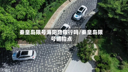 秦皇岛限号海阳路限行吗/秦皇岛限号抓拍点