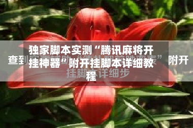 独家脚本实测“腾讯麻将开挂神器”附开挂脚本详细教程
