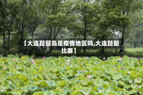 【大连琵琶岛是疫情地区吗,大连琵琶比赛】