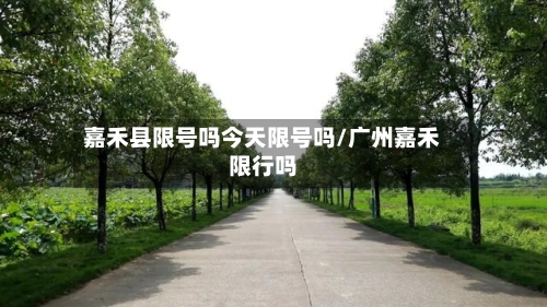 嘉禾县限号吗今天限号吗/广州嘉禾限行吗