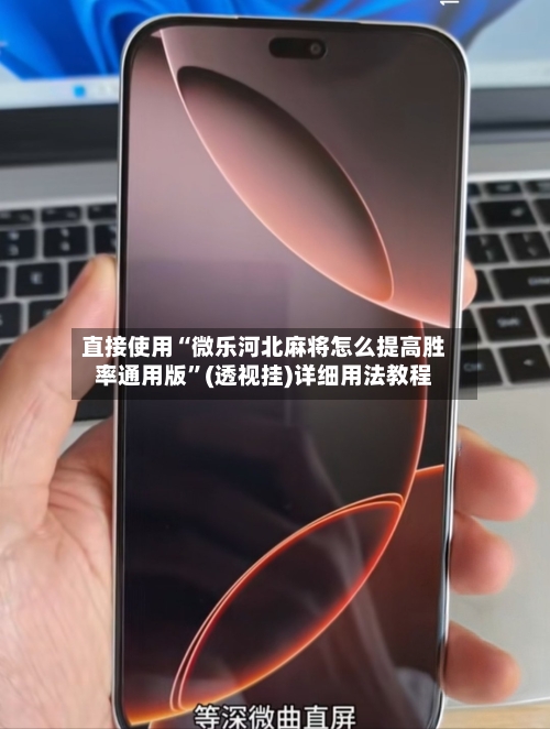 直接使用“微乐河北麻将怎么提高胜率通用版”(透视挂)详细用法教程