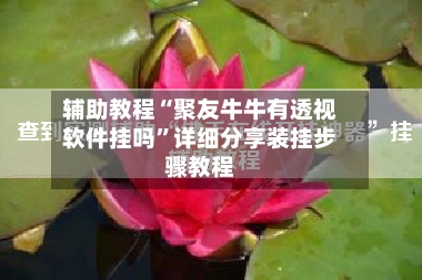 辅助教程“聚友牛牛有透视软件挂吗”详细分享装挂步骤教程