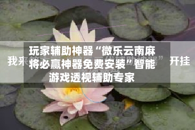 玩家辅助神器“微乐云南麻将必赢神器免费安装”智能游戏透视辅助专家