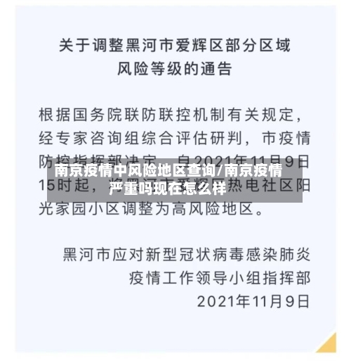 南京疫情中风险地区查询/南京疫情严重吗现在怎么样