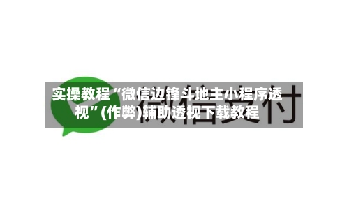 实操教程“微信边锋斗地主小程序透视”(作弊)辅助透视下载教程